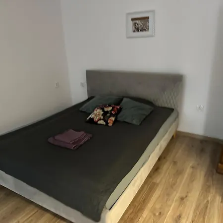 Wolnica 2 *