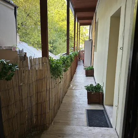 Wolnica 2